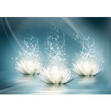 Waterlelies, kunstzinnig weergegeven op een abstract fotobehang met natuur en bloemen.