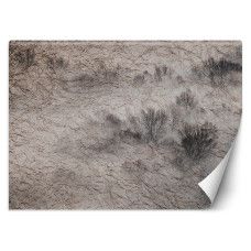 Fotobehang, Weide Mist Bomen Donker