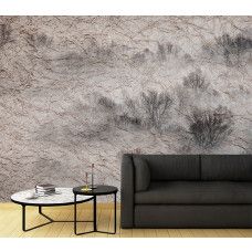 Fotobehang, Weide Mist Bomen Donker