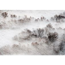 Fotobehang, Weide Mistbomen Natuur