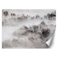 Fotobehang, Weide Mistbomen Natuur