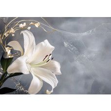 Fotobehang met een elegante witte lelie en gouden accenten op een zachte grijze achtergrond.