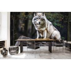Fotobehang wolf in het bos in kantoor met imposante wolf en rustgevende natuurdetails.
