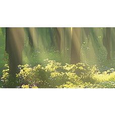 Een ingezoomde foto van het abstracte bos op fotobehang.