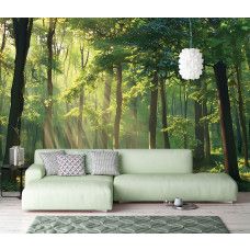 Fotobehang met lichtinval tussen groene bomen aan de muur van een sfeervolle woonkamer.