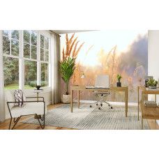 Fotobehang Zonnig Grasland in de Ochtend in een kantoor met frisse natuurlijke lichtval.