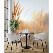 Fotobehang Zonnig Grasland in de Ochtend in een keuken met warme en rustige sfeer.