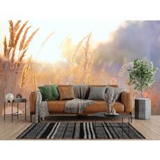 Fotobehang Zonnig Grasland in de Ochtend in een woonkamer met licht en rust.