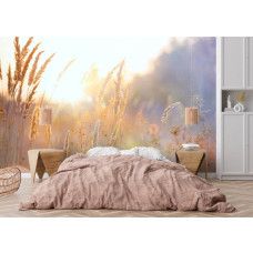 Fotobehang Zonnig Grasland in de Ochtend in een slaapkamer met warme voorjaarskleuren.