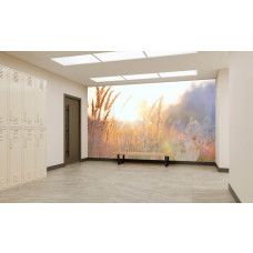 Fotobehang Zonnig Grasland in de Ochtend in een sportschool met zachte ochtendtinten.