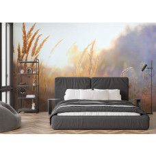 Fotobehang Zonnig Grasland in de Ochtend in een slaapkamer met kalme en zachte uitstraling.