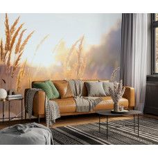 Fotobehang Zonnig Grasland in de Ochtend in een woonkamer met gouden zonlicht.