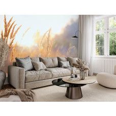 Fotobehang Zonnig Grasland in de Ochtend in een woonkamer met warme natuurlijke sfeer.