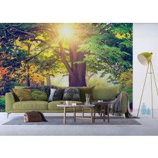 Een woonkamer met een fotobehang met een zonovergoten park in de ochtend met een mooie boom.