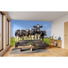 Fotobehang koeien in een groene weide zichtbaar in een sfeervolle woonkamer.