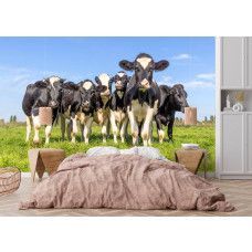 Koeien behang met zwartbonte koeien in een groene wei toegepast in een rustige slaapkamer.