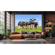 Koeien behang met zwartbonte koeien onder blauwe lucht in een modern ingerichte woonkamer.