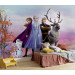 Disney Fotobehang Frozen Iconic - 368 x 254 cm