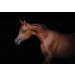 Fotobehang Bruin Paard op Zwarte Achtergrond