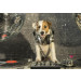 Fotobehang DJ Hond in de Disco | Dolle Beestenboel