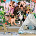 Fotobehang Honden Carnaval | Dolle Beestenboel