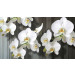 Fotobehang Orchideeën op Houten Planken