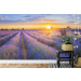 Fotobehang Zonsondergang boven het Lavendelveld