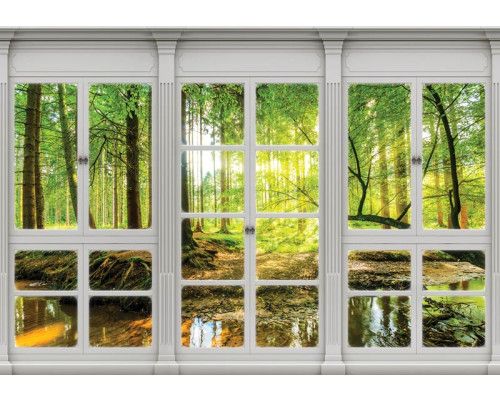 Zonnig bos met bomen en zonnestralen, vastgelegd op 3D-perspectief fotobehang.