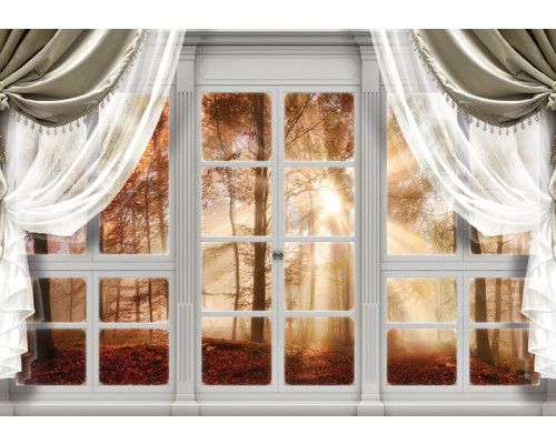 Fotobehang van uitzicht op een herfstbos met bomen en 3D-effecten door een raam.