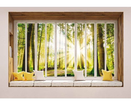 3D-perspectief fotobehang van een zonnig bos, weergegeven vanuit een raam.