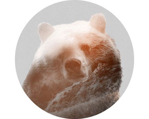 Behangcirkel met een gedetailleerde afbeelding van een beer.