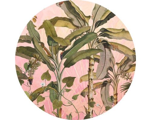 Botanische planten en jungle thema op een muurcirkel.