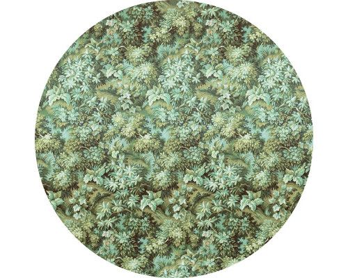 Groene natuur met diverse planten op een muurcirkel voor een natuurlijke uitstraling.