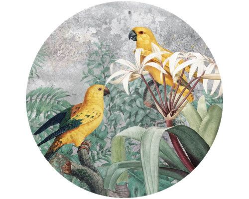 Kleurrijke papegaaien in de jungle, levendig afgebeeld op een exotische behangcirkel.