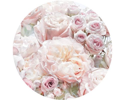 Rozen in volle bloei op een prachtige muurcirkel.