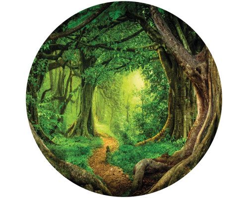 Tropisch regenwoud met weelderige jungle en bomen, schitterend weergegeven op een behangcirkel.