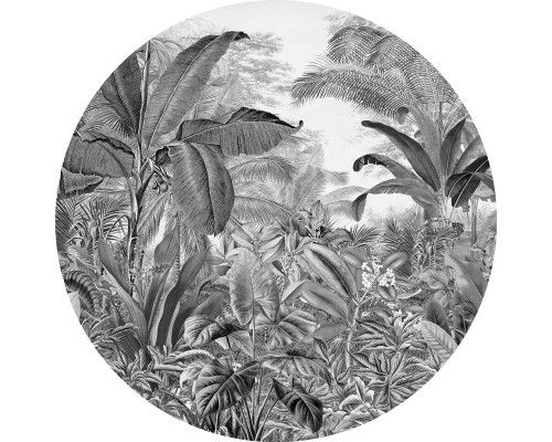 Wilde jungle met bomen en planten op een natuurlijke muurcirkel.