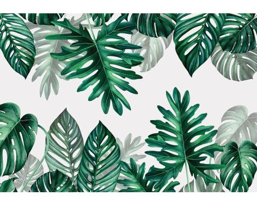 Botanisch bladeren fotobehang met tropische bladeren in een jungle setting, ideaal voor een natuurlijke sfeer.