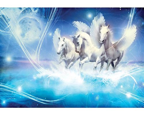 Fotobehang van een prachtige unicorn.