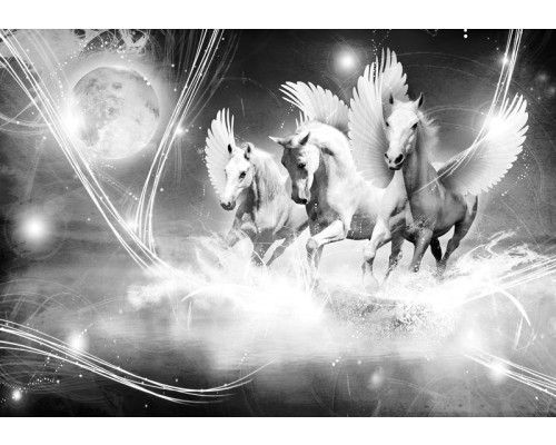 Een fotobehang met vrolijke unicorns.