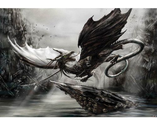 Draak en alchemie, fotobehang met magische en duistere thema's voor een mysterieuze sfeer.