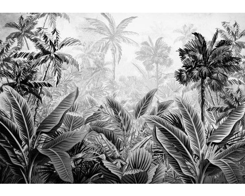 Tropisch jungle fotobehang met Amazone planten en natuur voor een exotische sfeer.