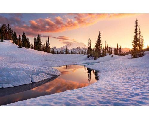 America the Beautiful winter landschap fotobehang, met een prachtig besneeuwd landschap.