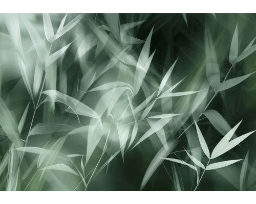 Fotobehang met artistiek getekende bamboebladeren in natuurlijke tinten op een donkere achtergrond.