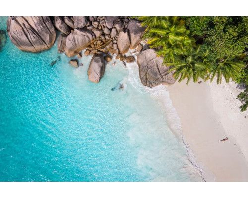 Fotobehang van een tropisch paradijs met palmbomen, helderblauw water en een gouden strand onder een stralende zon.