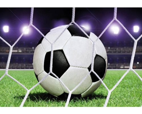 Voetbal in het doel op een stadion grasveld, prachtig fotobehang voor kinderen.