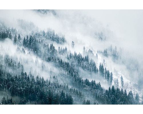 Fotobehang van een bergachtige omgeving gehuld in mist, met groene natuur en prachtige berglandschappen.