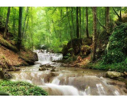 Fotobehang, Bergbeek natuurlandschap