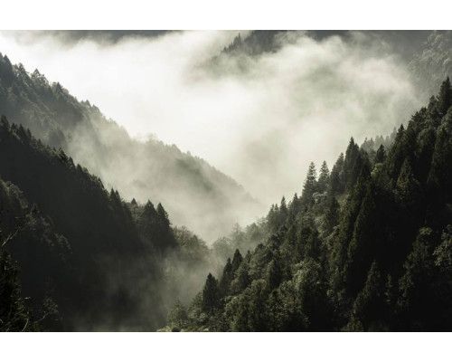 Fotobehang van bergen gehuld in mist, met een uitgestrekt boslandschap op de voorgrond.