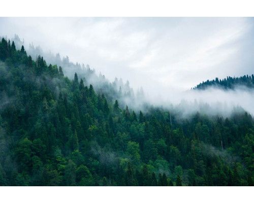 Fotobehang van bergtoppen die zich in de mist bevinden, met een serene en mysterieuze sfeer.
